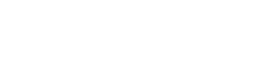 惟德精准 Logo